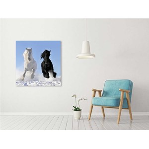 Tableau photo chevaux