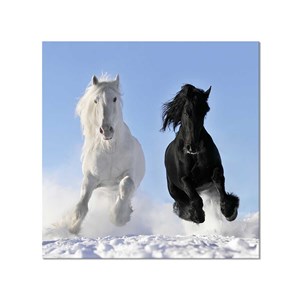 Tableau photo chevaux
