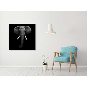 Tableau deco l'éléphant dans l'ombre