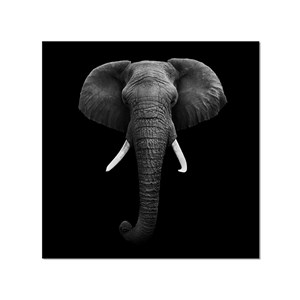 Tableau deco l'éléphant dans l'ombre