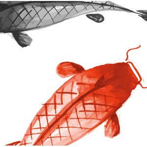 Tableau dessin carpes koï