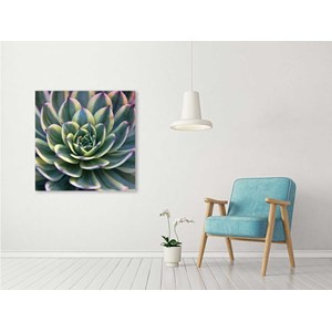 Tableau plante design