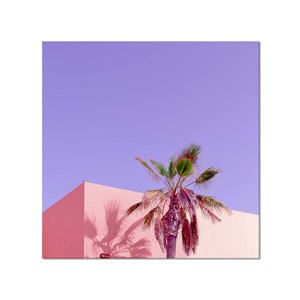 Toile photo pink palma