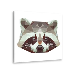 Tableau animaux raton laveur