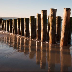 Tableau moderne cap ferret