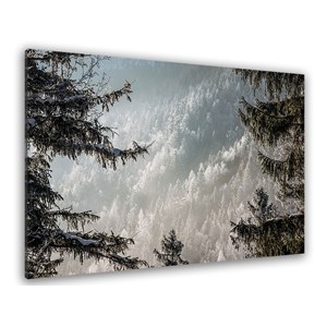 Tableau paysage forest in fog drama