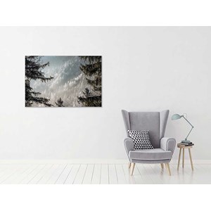 Tableau paysage forest in fog drama