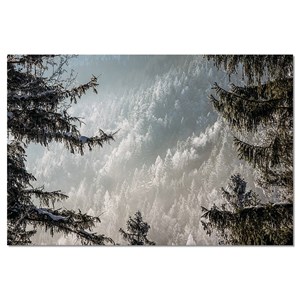 Tableau paysage forest in fog drama