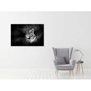 Tableau photo déco tigre