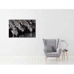 Tableau photo zèbres se désaltérant