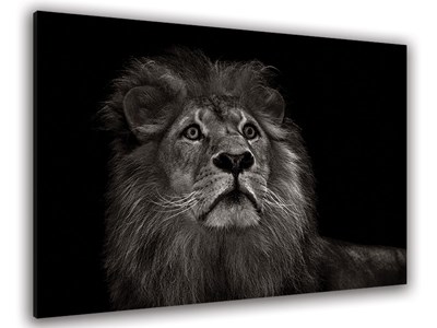 Tableau majestueux roi des animaux