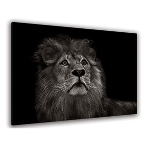 Tableau majestueux roi des animaux