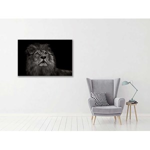 Tableau majestueux roi des animaux