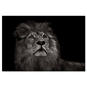 Tableau majestueux roi des animaux
