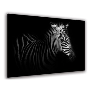 Tableau zebre dans la lumière