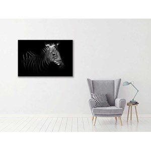Tableau zebre dans la lumière