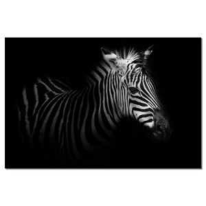 Tableau zebre dans la lumière