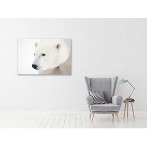 Tableau photo ours blanc polaire