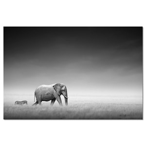 Tableau animaux artistic processing