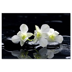 Toile zen deco design orchidée blanche