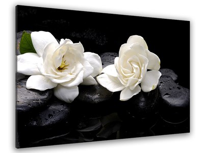 Toile déco design fleurs et cailloux