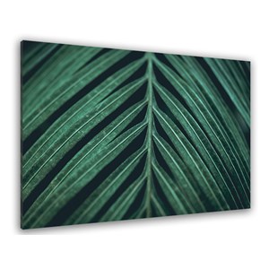 Toile feuille palmen