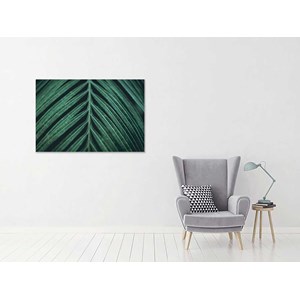 Toile feuille palmen
