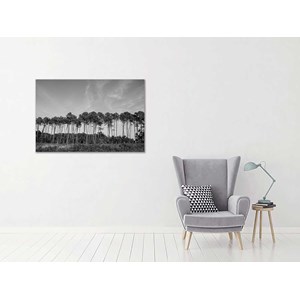 Tableau noir et blanc pinède d' hossegor