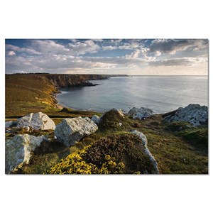 Tableau photo moderne je l'ai vu
