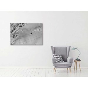 Toile deco noir et blanc traces snow