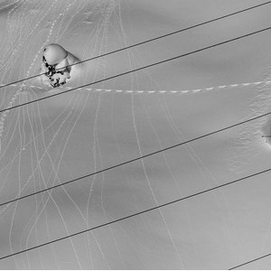 Toile deco noir et blanc traces snow