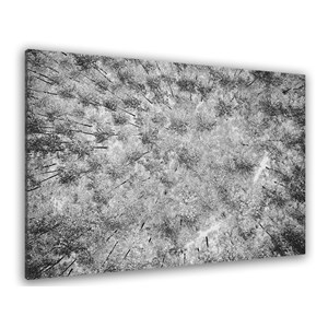Toile deco neige sur les pins
