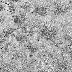 Toile deco neige sur les pins