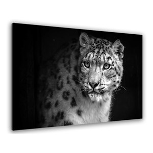 Tableau animaux le regard du léopard