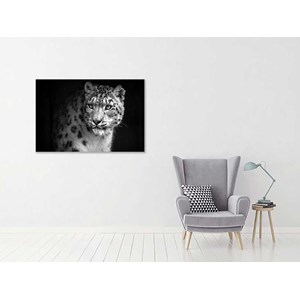 Tableau animaux le regard du léopard