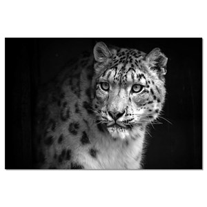 Tableau animaux le regard du léopard