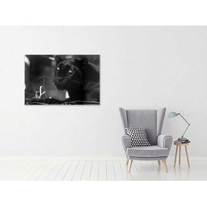 Tableau noir et blanc la panthère