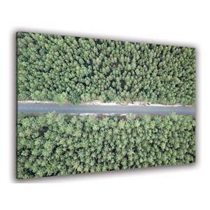 Tableau infinitude de la forêt landaise