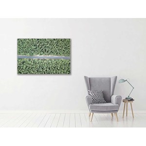 Tableau infinitude de la forêt landaise