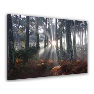 Tableau paysage brume landaise