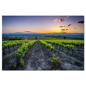 Toile deco vineyard