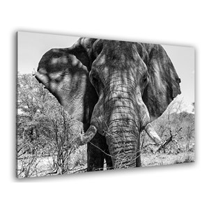 Tableau deco éléphant d'afrique
