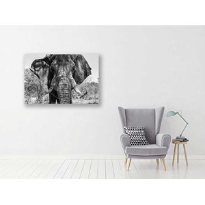 Tableau deco éléphant d'afrique