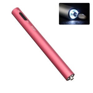 Mini limeur à ongles