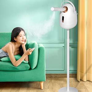 Z20 vaporisateur facial (brume chaude et froide) 250 ml tête rotative