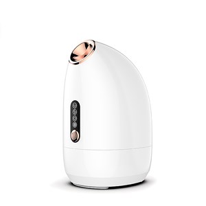 Z16 vaporisateur facial (brume chaude et froide) 200ml.