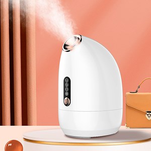 Z16 vaporisateur facial (brume chaude et froide) 200ml.