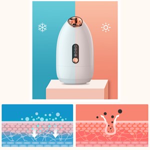 Z16 vaporisateur facial (brume chaude et froide) 200ml.