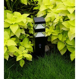 Borne extérieure pyramide 1000 lumens avec détecteur