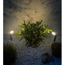 Kit de 2 spots piquets solaires ruby